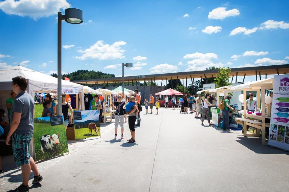 Festival za ljubitelje živali | Avtor: Kjara Kocbek