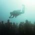 Silent Evolution, Jason deCaires Taylor, Cancun