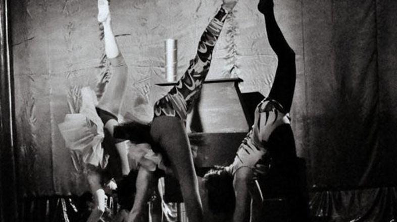 (Foto: www.centerplesa.si)