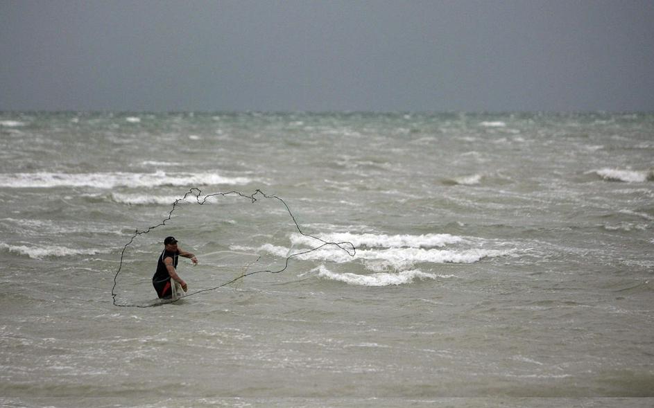tropska nevihta, Alex, Mehiški zaliv