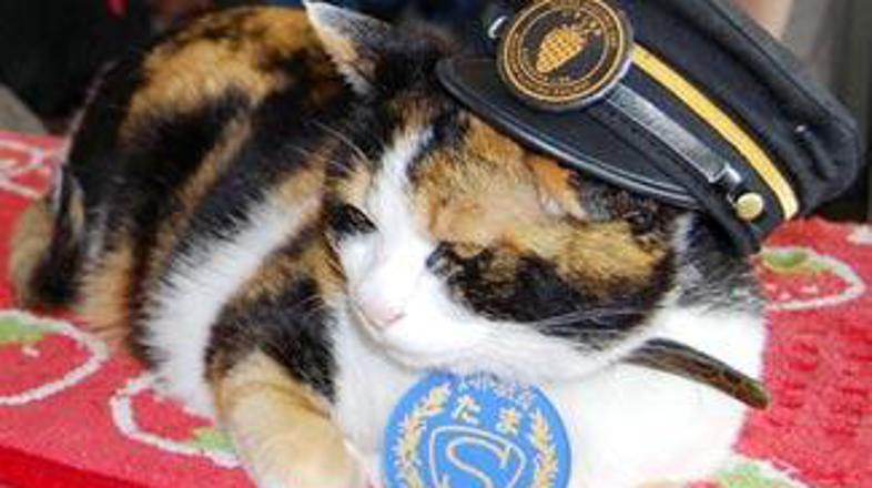 Tama je zlata vredna.