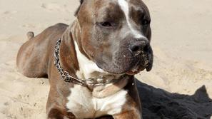 (Foto: Shutterstock)