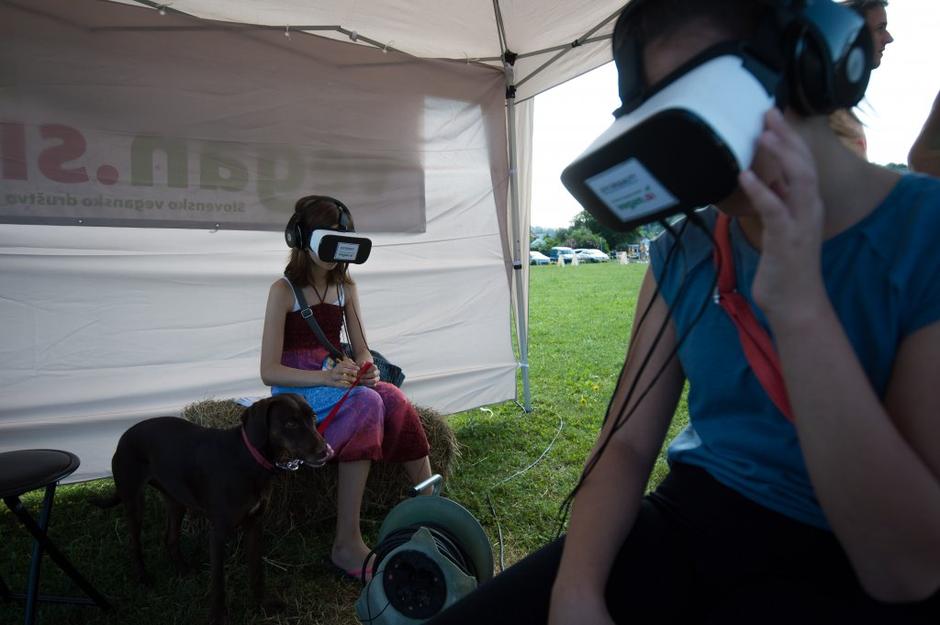 Festival za ljubitelje živali | Avtor: Anže Petkovšek