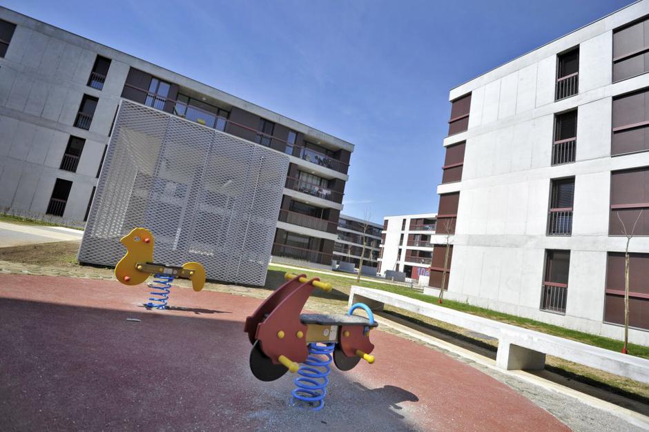 Polje, neprofitna stanovanja | Avtor: Anže Petkovšek