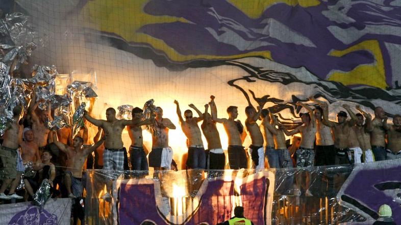 maribor dinamo navijači viole