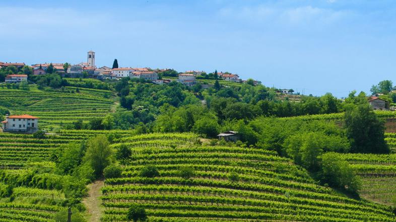 "Slovenska Toskana" vabi ... (Foto: Shutterstock)