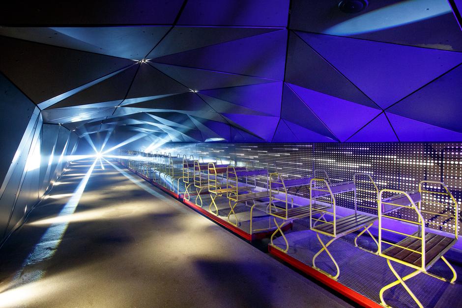 Postojnska jama | Avtor: Valter Leban