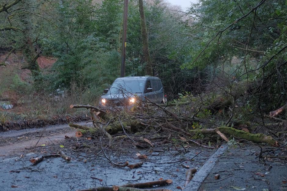 nevihta Goretti podrta drevesa Velika Britanija | Avtor: Profimedia