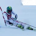 alpsko smučanje veleslalom hirscher