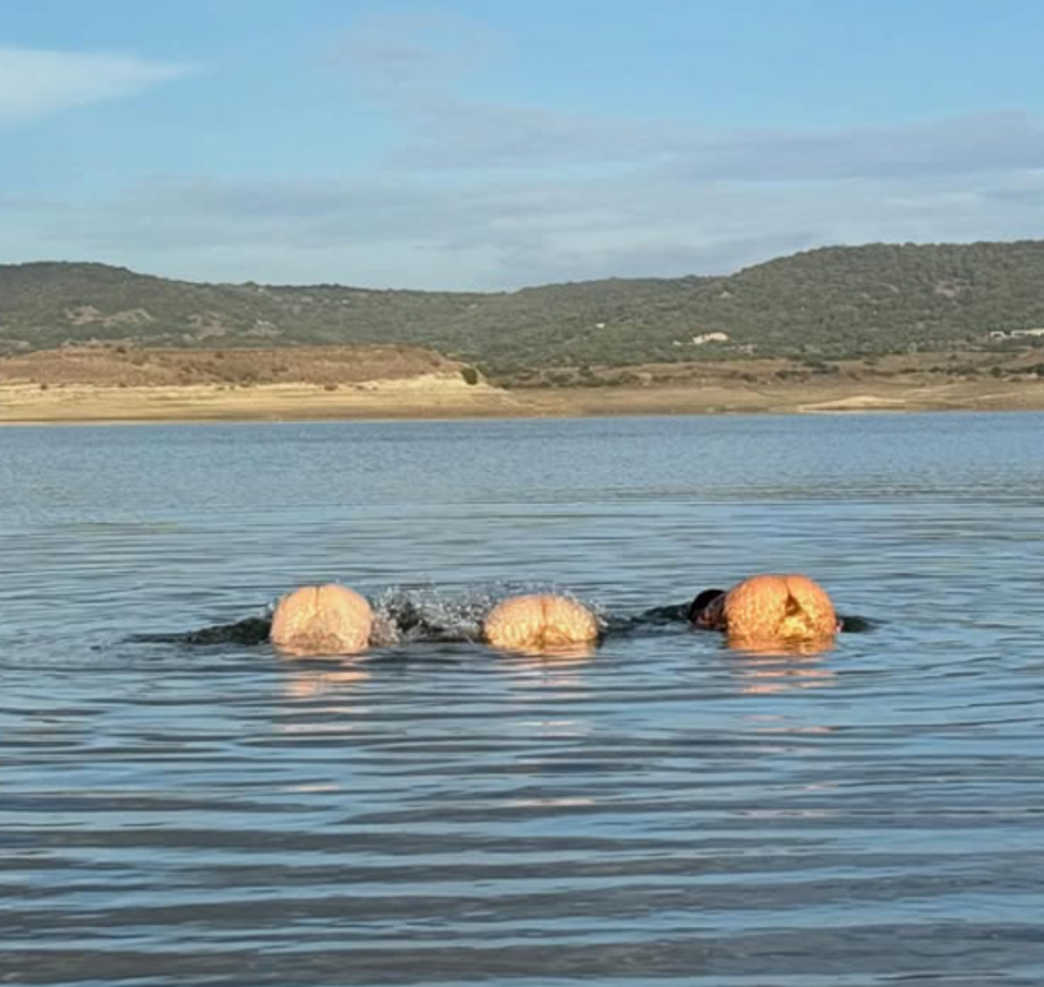 Maisie Williams | Avtor: Instagram