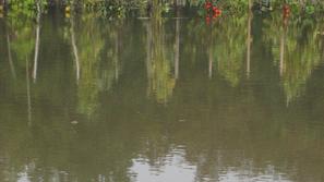 Po septembrskih poplavah jesenski dež še naprej uničuje vrtnine. (Foto: Nada Čer