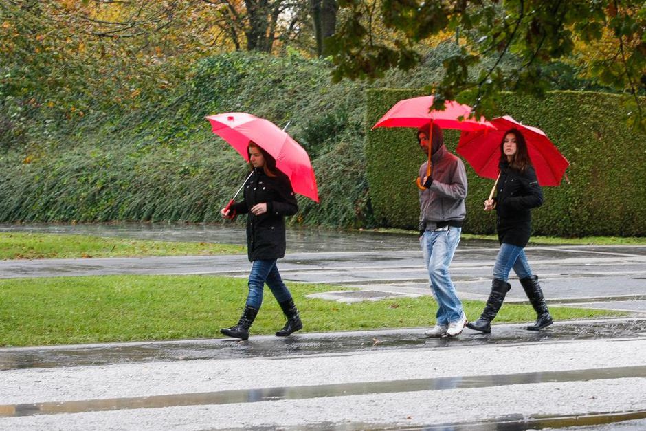 dež | Avtor: Saša Despot