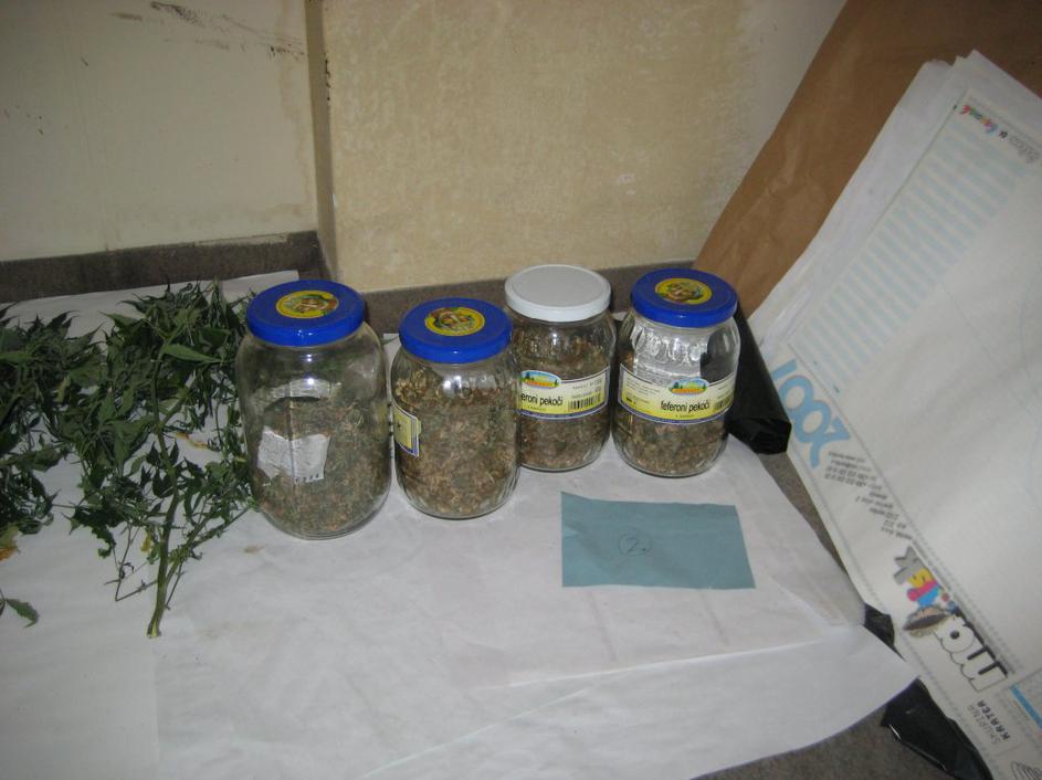 Pri preiskavi so pri Mariborčanu našli marihuano