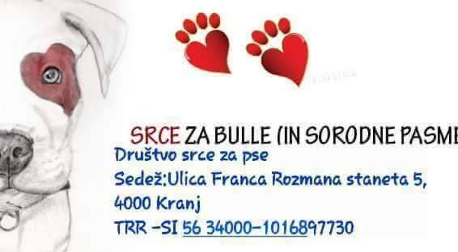 Srce za bulle | Avtor: Srce za bulle