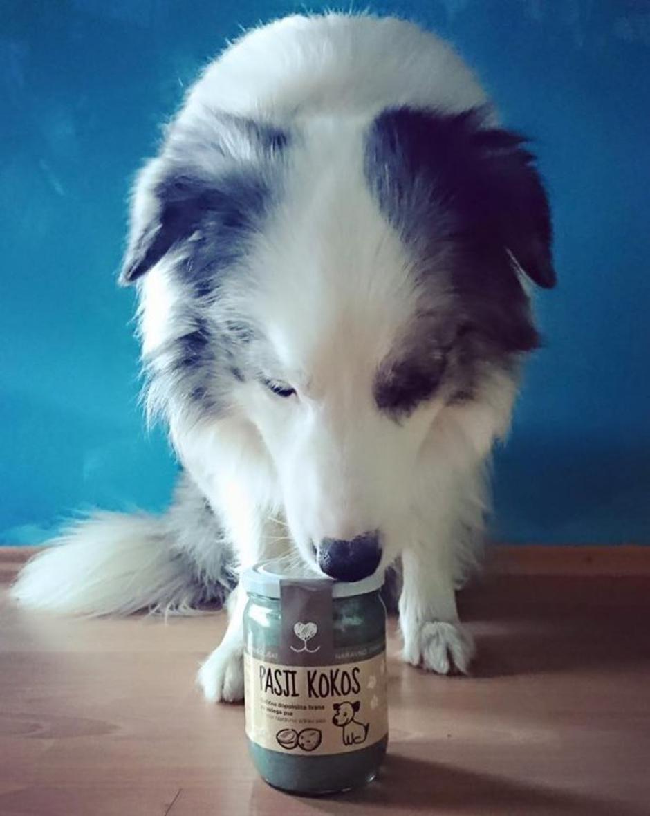 Pasji kokos | Avtor: Anže P.