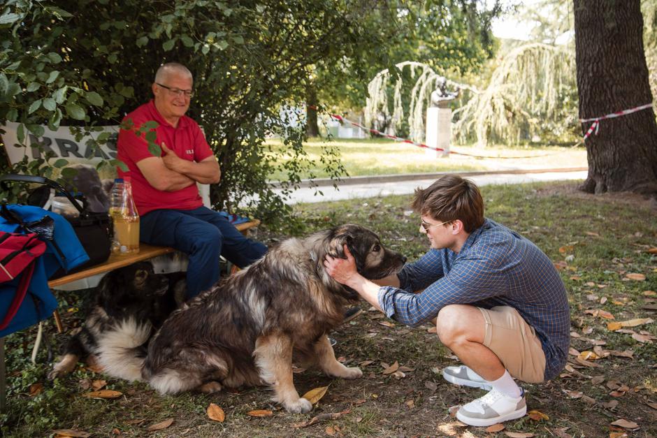 Festival za ljubitelje živali 2025 | Avtor: Cimet Studio
