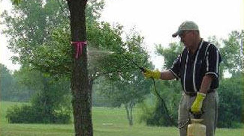 Po besedah Miše Pušenjak iz kmetijsko gozdarskega zavoda ljudje največ škropiv k