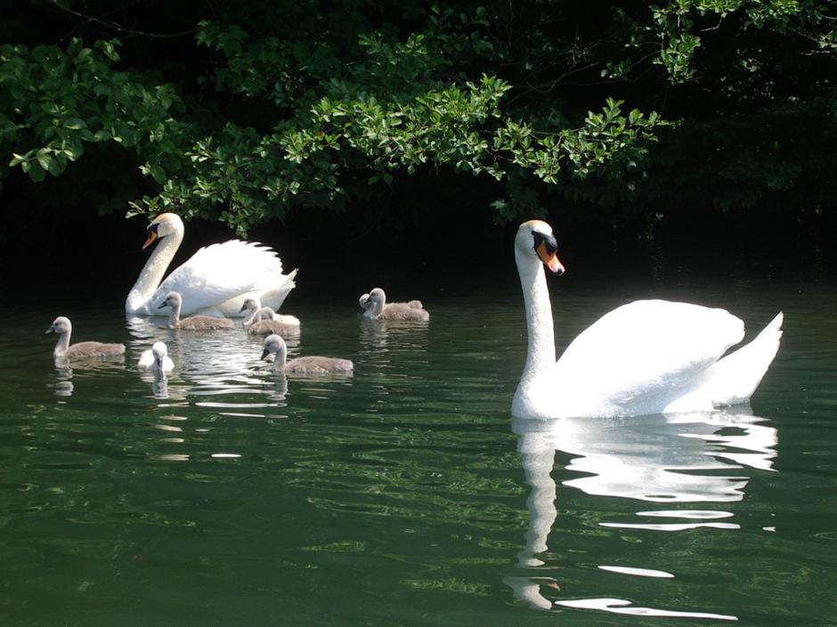 #Vednopodpiraj Coca-Cola | Avtor: Coca-Cola