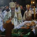 Koliko časa bodo škofje oz. vladike potrebovali za izvolitev novega poglavarja, 