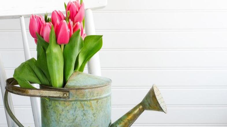 Z rožami in okrasnimi elementi lahko poživite vsak prostor. (Foto: Shutterstock)