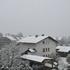 Sneženje v Sinji Gorici