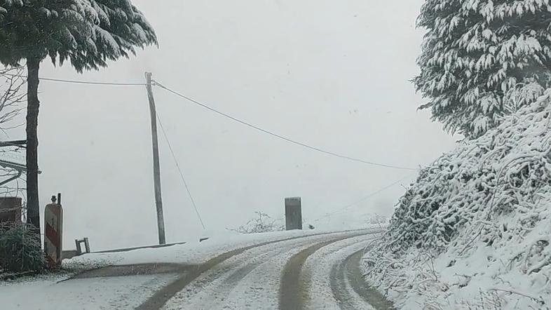 Sneg, zasnežena cesta