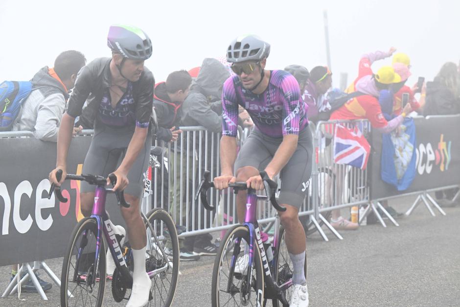 Mezgec | Avtor: Profimedia