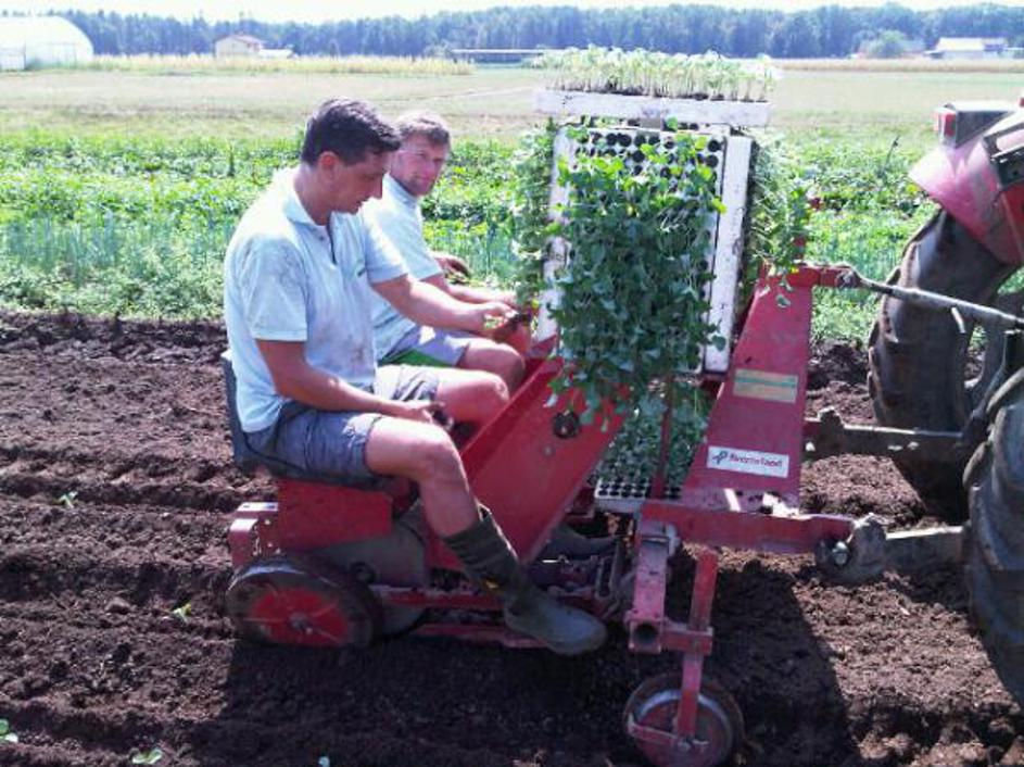 Borut Pahor na kmetiji