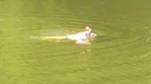 Plavalec v mariborskem parku