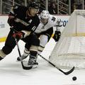 Dallas Stars so prišli do kontroverzne zmage nad Anaheim Ducks. (Foto: Reuters)