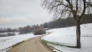 Sneg, zasnežena cesta, cesta, zima, vreme