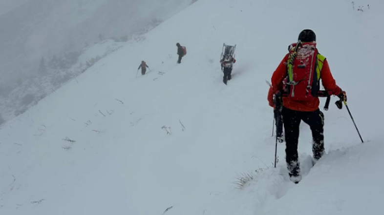 tosc reševanje grzs