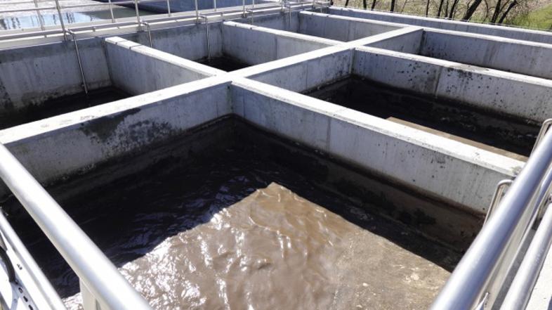 Izlitje nafte v Račah