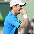 andy murray miami