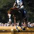 Eventing Cross Country, World Equestrian Games in Lexington, Kentucky