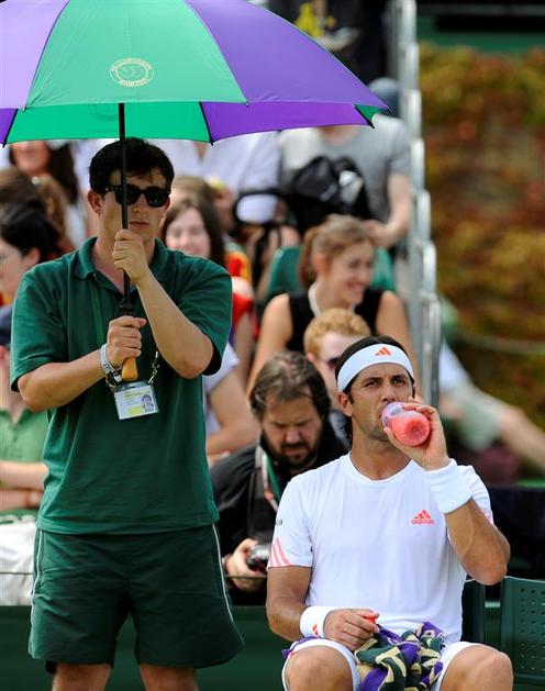 Verdasco Žemlja Wimbledon OP Velike Britanije tenis drugi krog