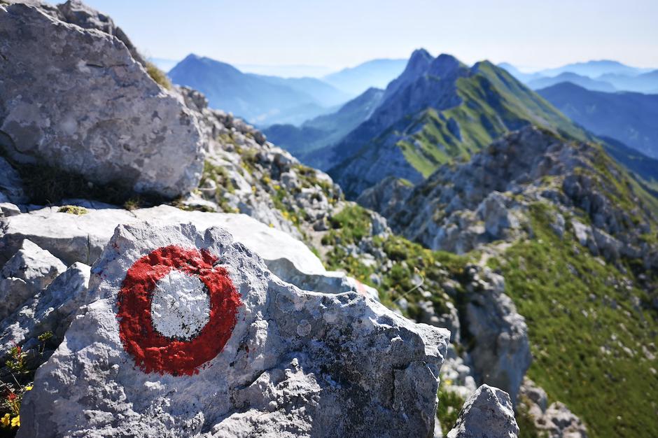 markacija | Avtor: Manca Ogrin