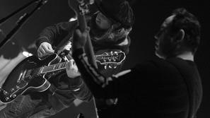 Plavi orkestar ogrel beli Bled