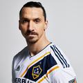zlatan ibrahimović
