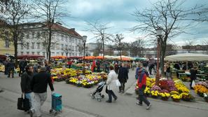 ljubljana 30.10.10, trznica, ljubljanska trznica, nakupovanje, foto: anze petkov