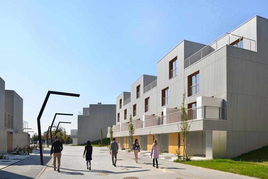 Zeleni Gaj Brdo | Avtor: SSRS