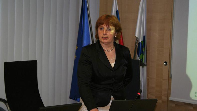 V panogi se je kriza razmahnila v drugi polovici lanskega leta, pravi Tatjana Fi