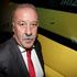 Vicente del Bosque