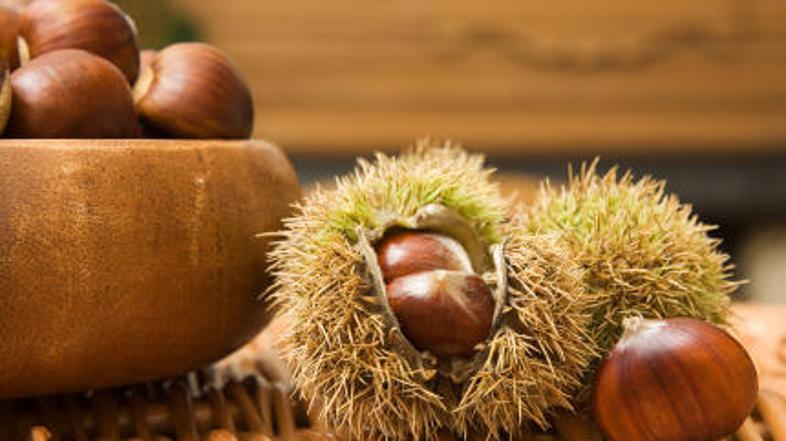 Sladkajte se z jesenjo.