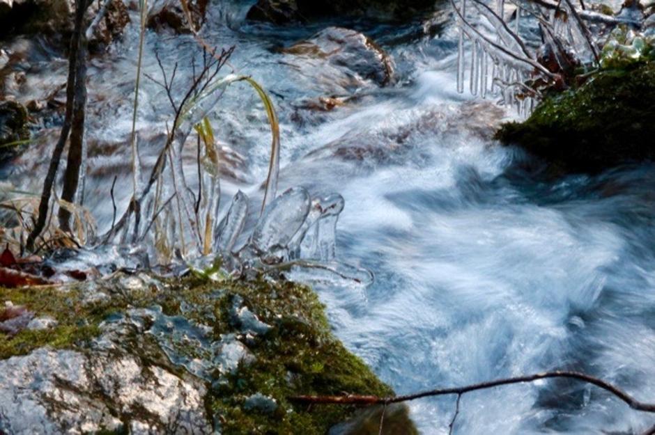 Reka Učja | Avtor: Neža Posnjak