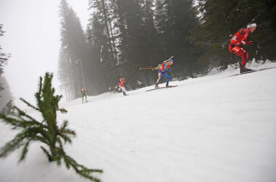 biatlon pokljuka | Avtor: Saša Despot