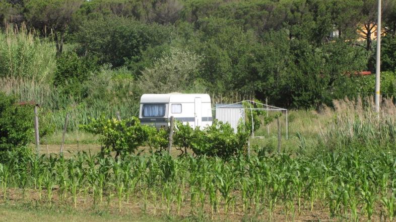 Kmetijska parcela v Strunjanu