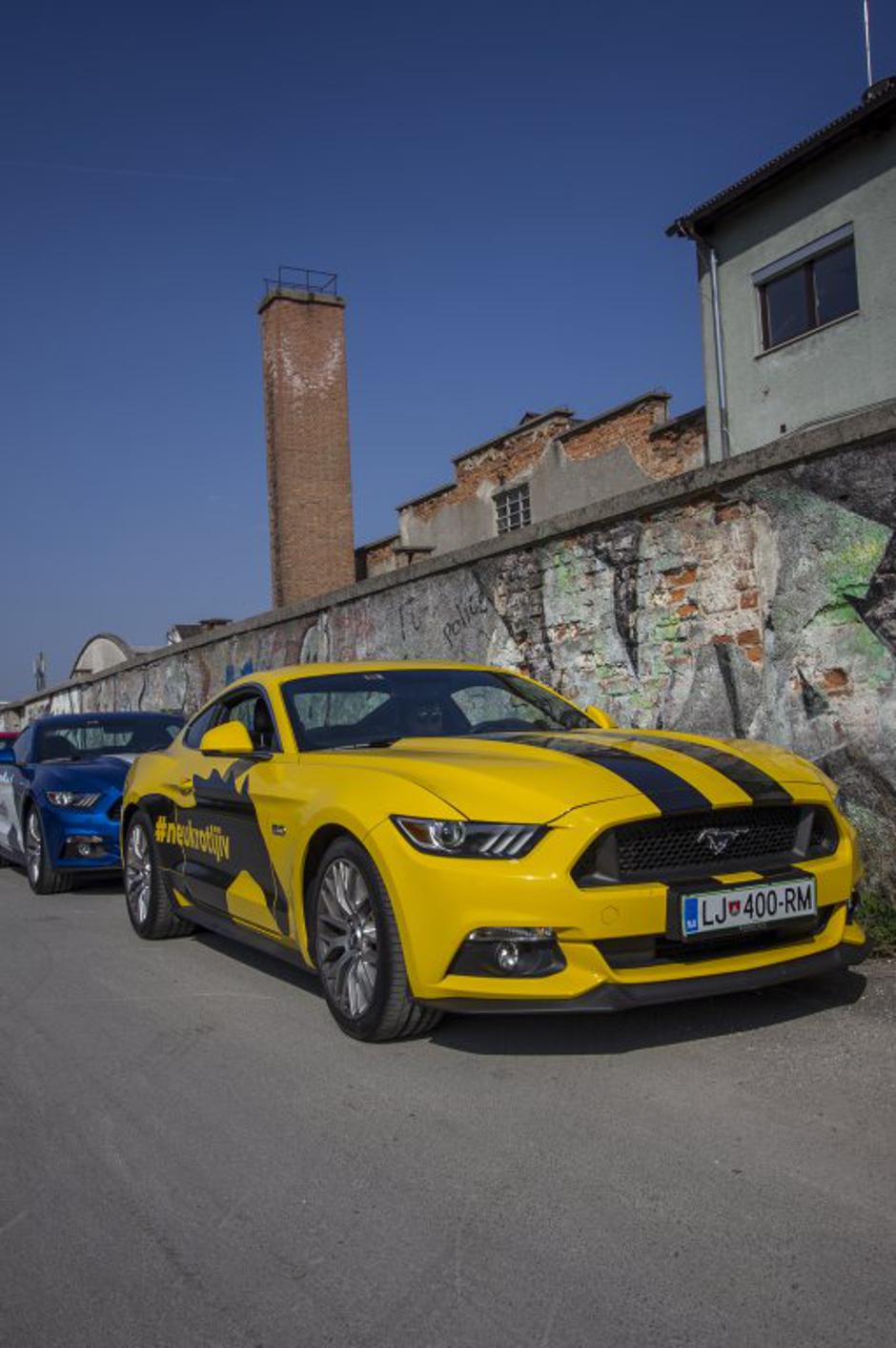 mustang | Avtor: Ford