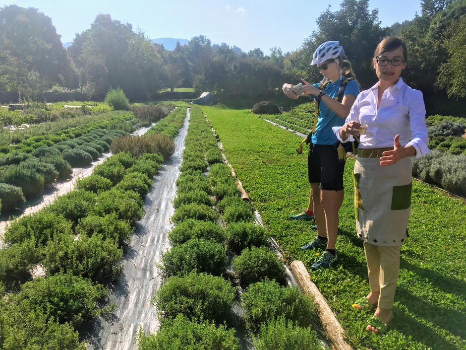 Kolesarjenje po Brkinih | Avtor: A. Š.