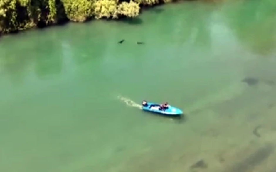 reka Bojana preiskava | Avtor: PrtSc